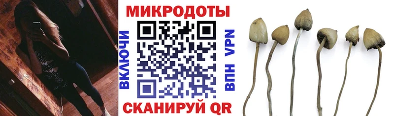цены   Назарово  Галлюциногенные грибы мицелий 